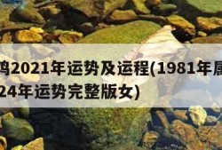 属鸡2021年运势及运程(1981年属鸡2024年运势完整版女)