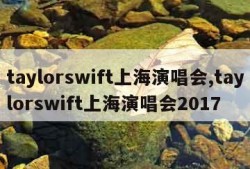 taylorswift上海演唱会,taylorswift上海演唱会2017