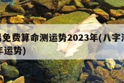 周易免费算命测运势2023年(八字测2023年运势)