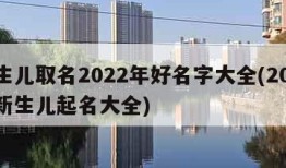 新生儿取名2022年好名字大全(2021年新生儿起名大全)