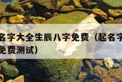 易经取名字大全生辰八字免费（起名字生辰八字起名免费测试）