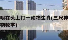 三尺神明在头上打一动物生肖(三尺神明在头上解动物数字)